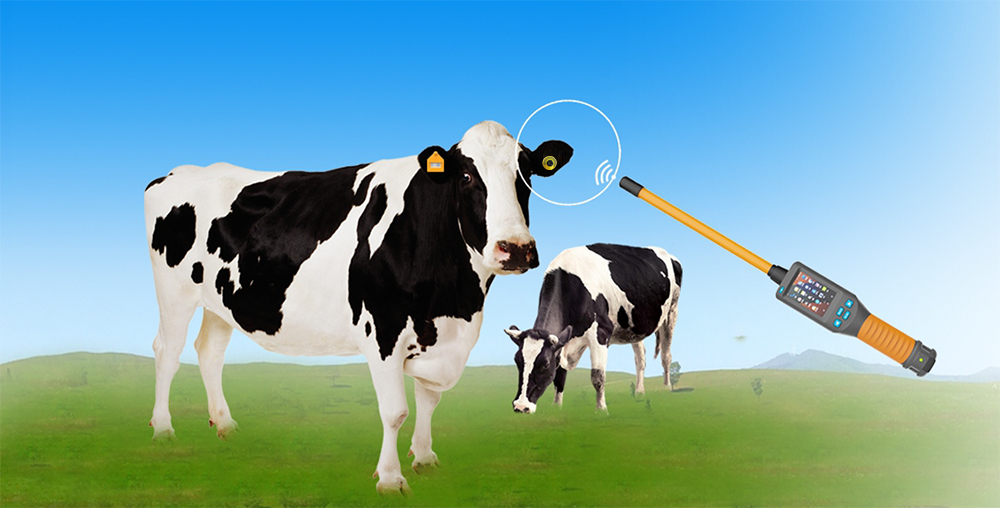 RFID Handheld sticker reader for cattle