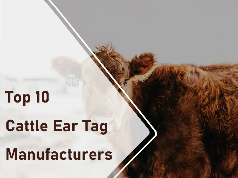 cattle ear tag manufacturers
