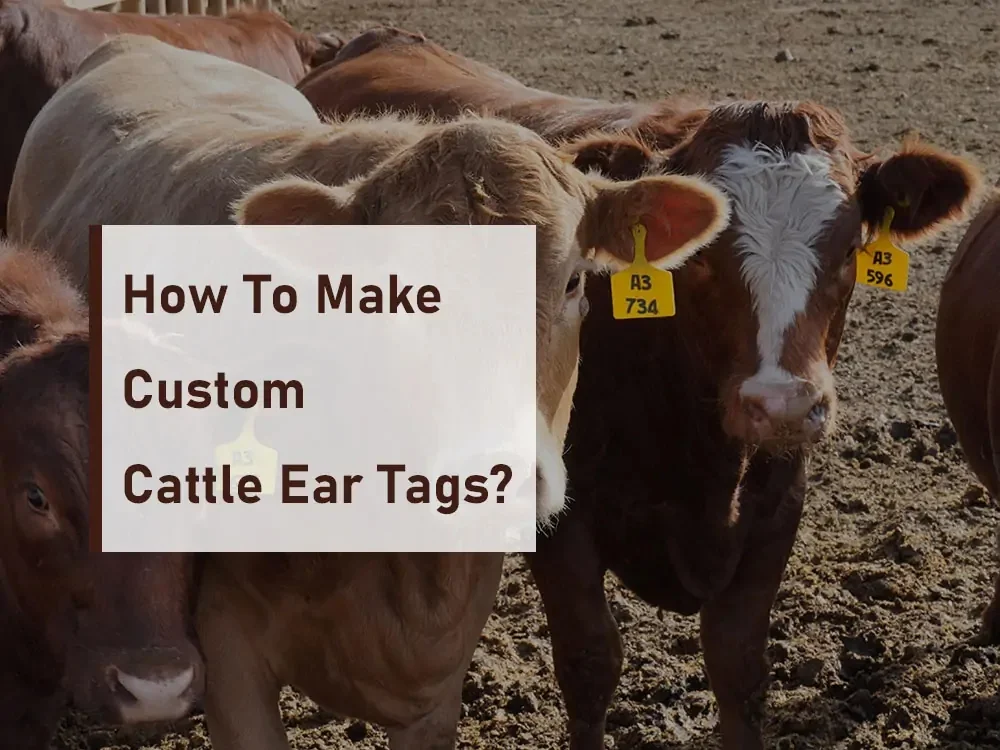 how to make custom cattle ear tags