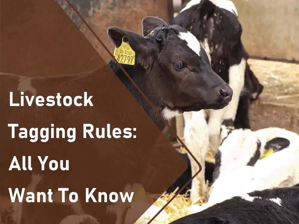 reglas de etiquetado de ganado