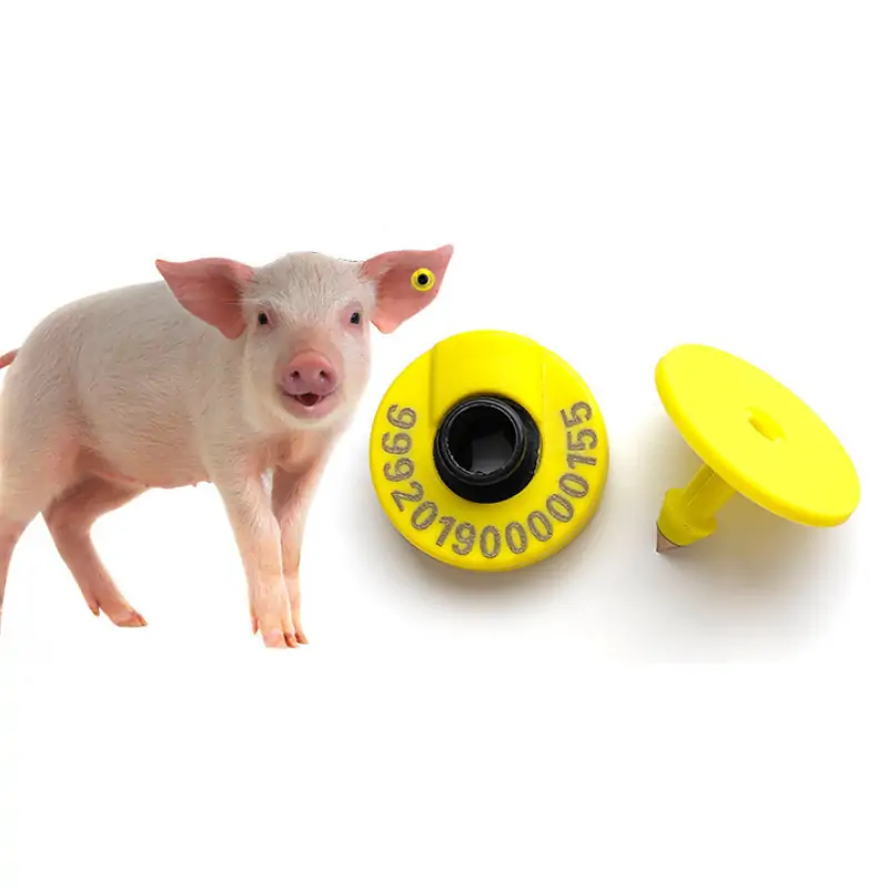 Pig ear tags