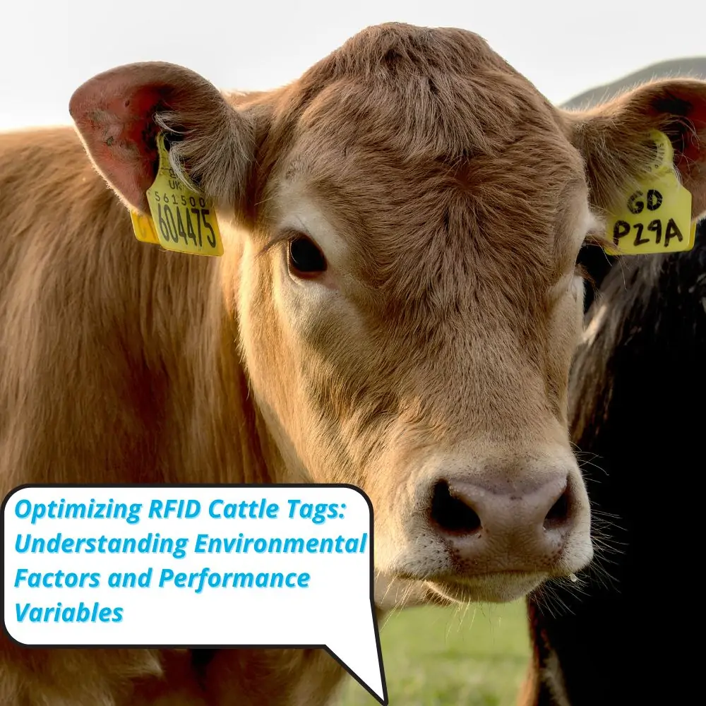 RFID Sığır Etiketleri