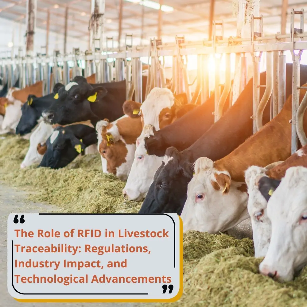 Hayvancılıkta RFID