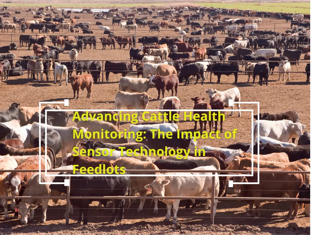 Sığır Sağlığı İzleme