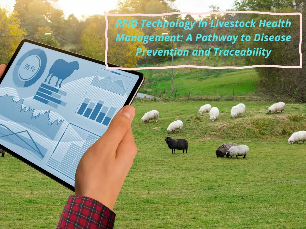 Hayvancılık Sağlık Yönetimi