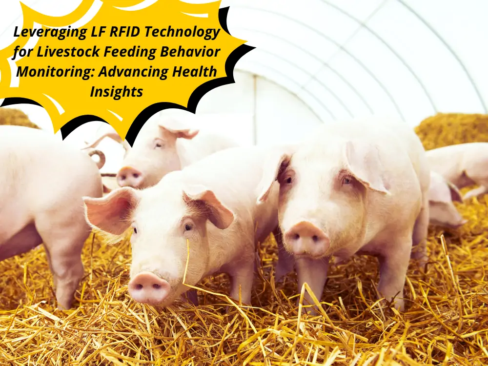 Hayvancılık için RFID Teknolojisi