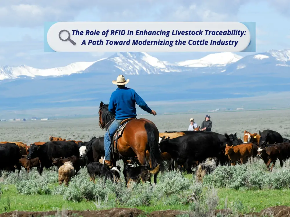 Hayvancılığın Geliştirilmesinde RFID