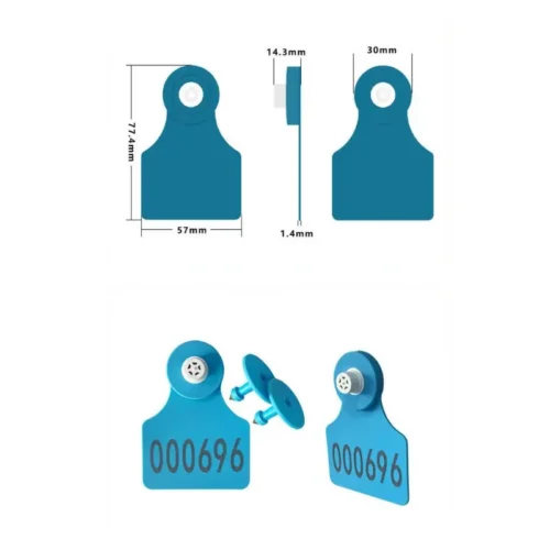 özel sığır kulak küpeleri