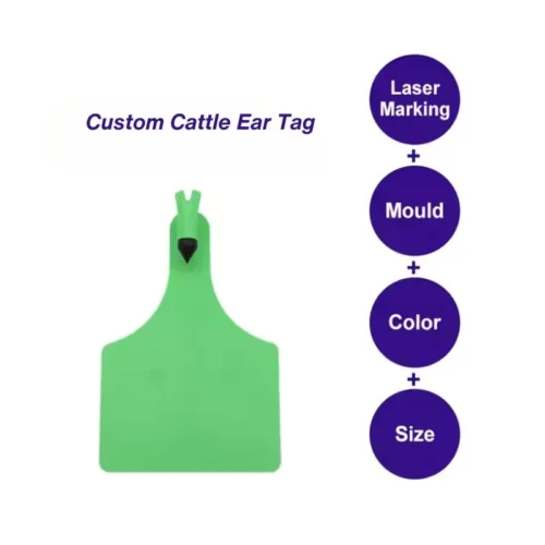 özel inek kulak küpeleri