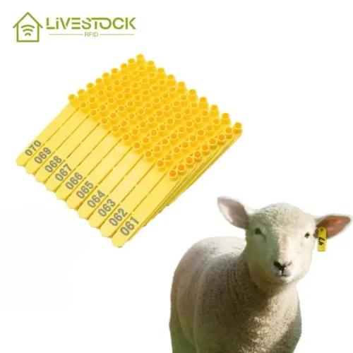 koyun kulak küpeleri