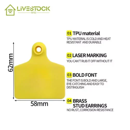 koyun kulak küpeleri