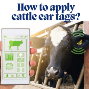 Sæt øremærke på kvæg