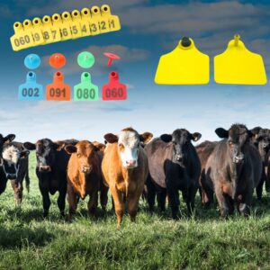 Ušní značky u skotu