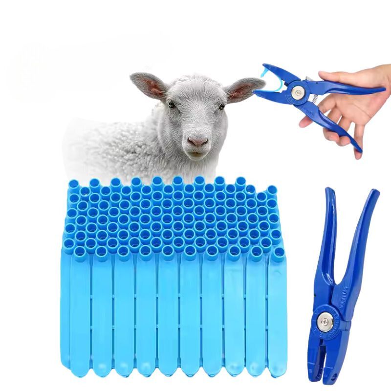 Kuzu Kulak Etiketleri