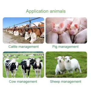 Gestion de la santé du bétail