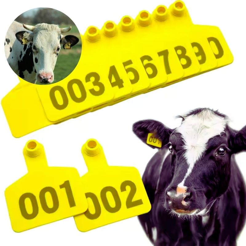 Sığırlar için RFID Etiketleri