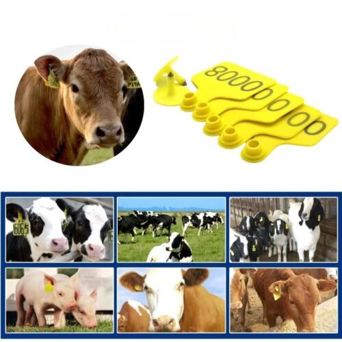 Sığırlar için RFID Etiketleri