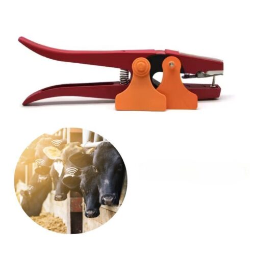 Hayvan Kulak Küpeleri