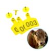 Cattle Ear Tags
