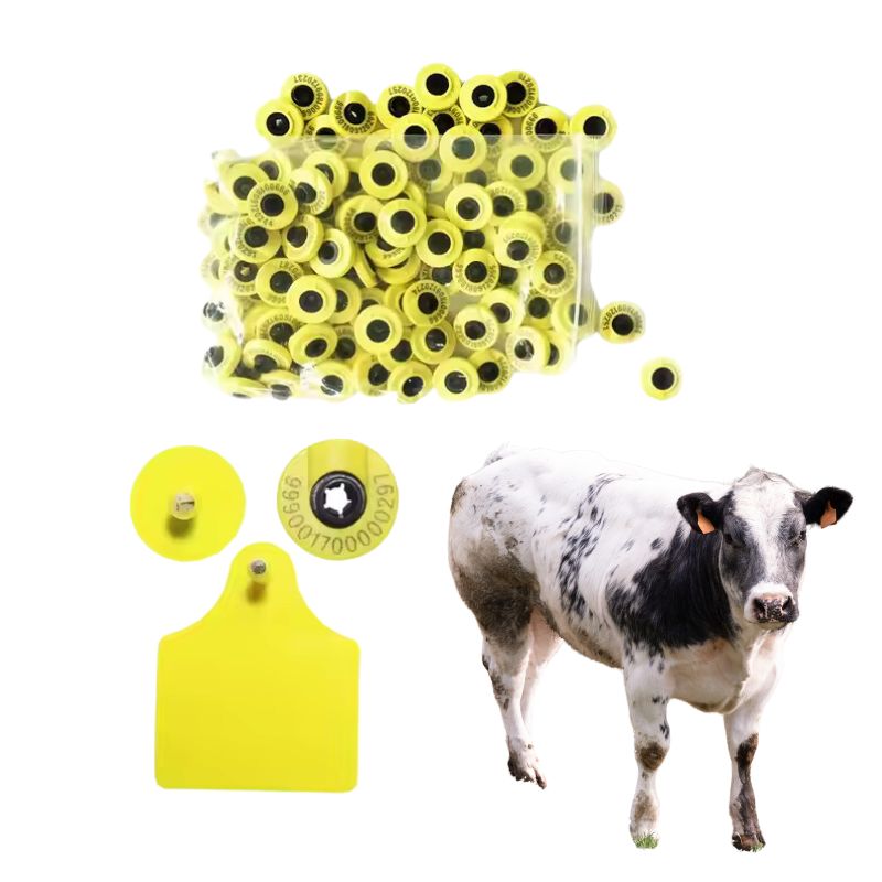 Cattle Ear Tags