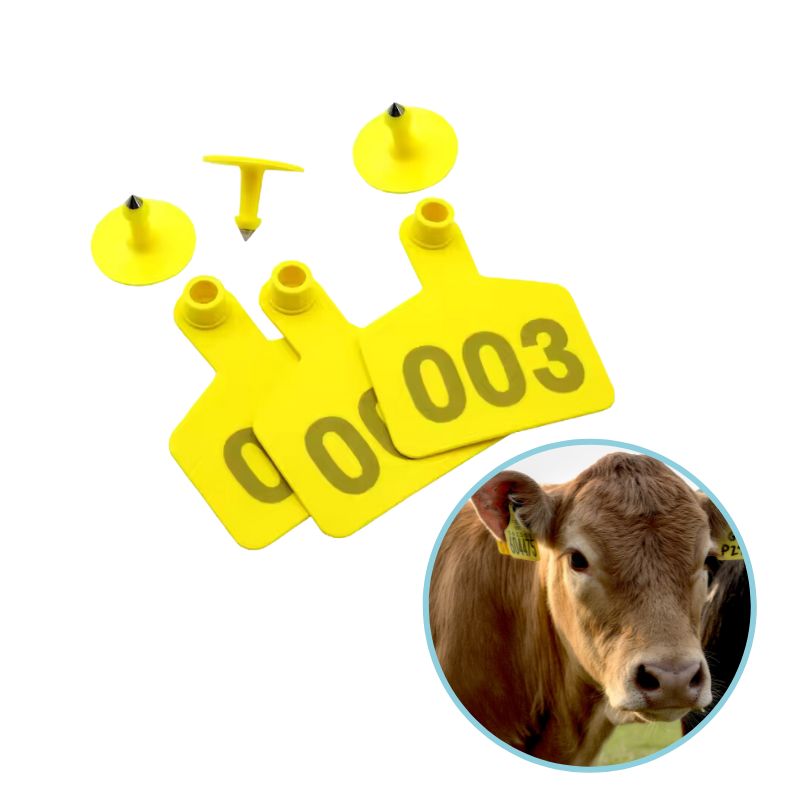 Cattle Ear Tags