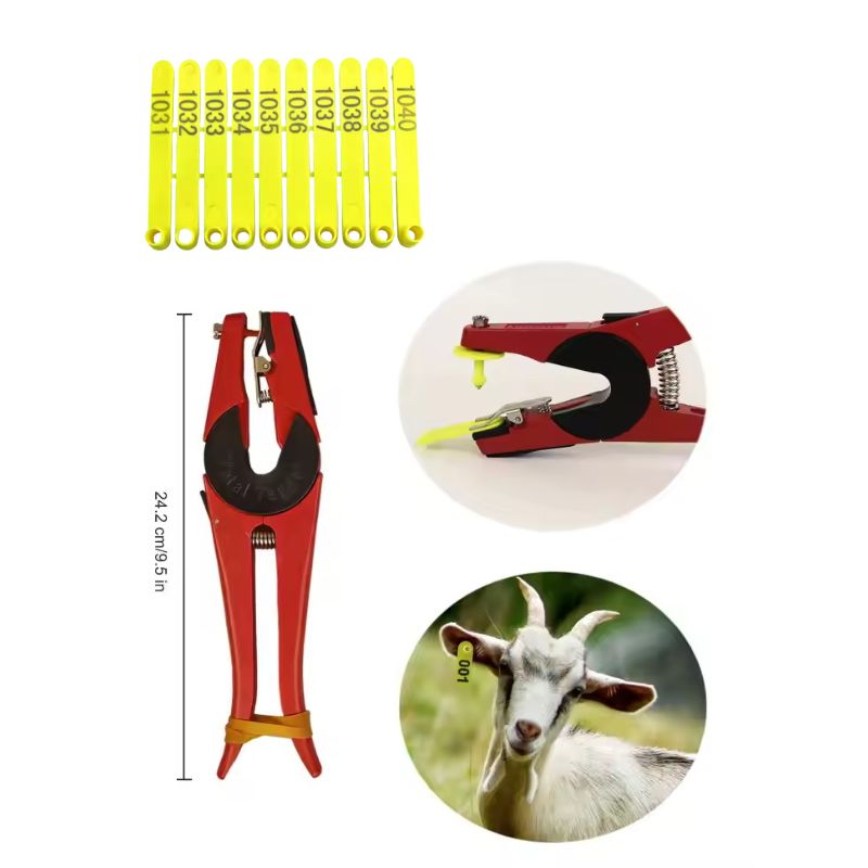 Kuzu Kulak Etiketleri