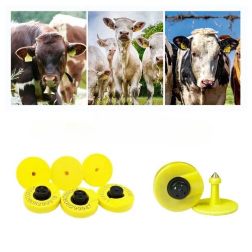 Kişiselleştirilmiş Sığır Kulak Etiketleri