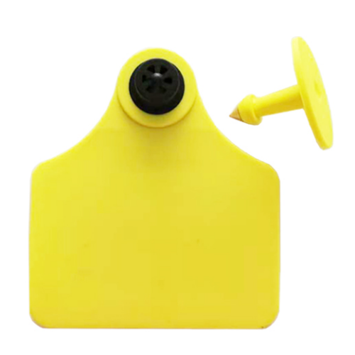 소 RFID 태그