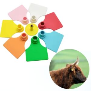 Custom-Cattle-Ear-Tags