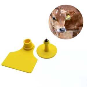 Custom-Cattle-Ear-Tags