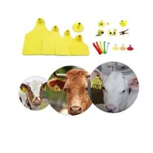 Skader mærkning af køer dem?