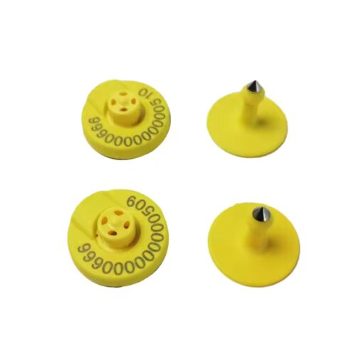 Domuzlar için Kulak Küpeleri