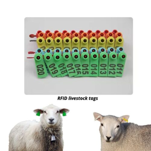 Oyulmuş Hayvan Etiketleri