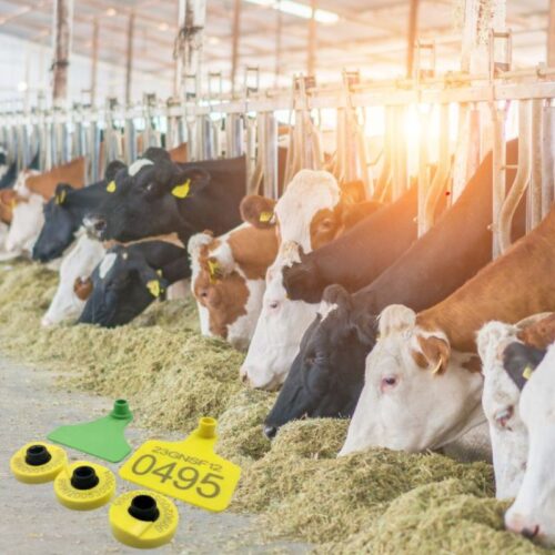 Χαραγμένες ετικέτες ζώων