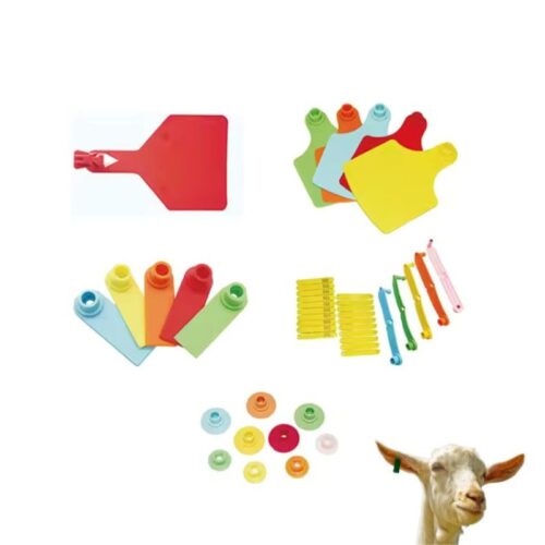 Oyulmuş Hayvan Etiketleri