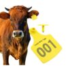 Kişiselleştirilmiş Sığır Kulak Etiketleri