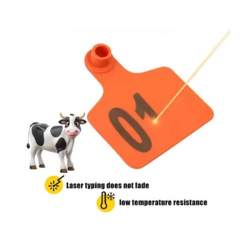 Asmeninės galvijų etiketės