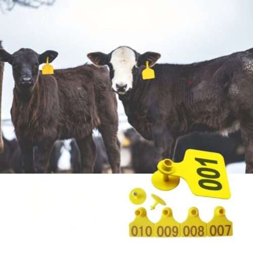 RFID İnek Etiketleri