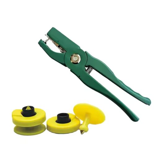 domuz kulak küpeleri