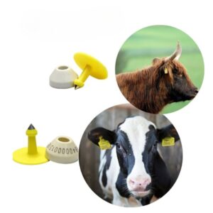 Miért van a teheneken füljelző