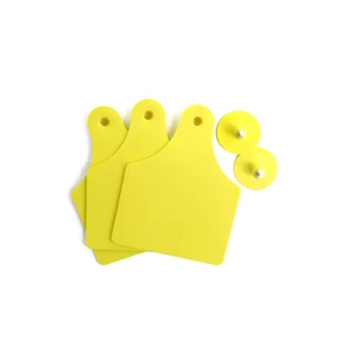 buzağı kulak küpeleri