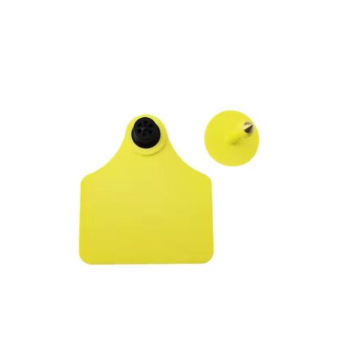 sığırlar için kulak küpeleri