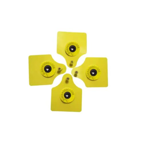 EID sığır küpeleri