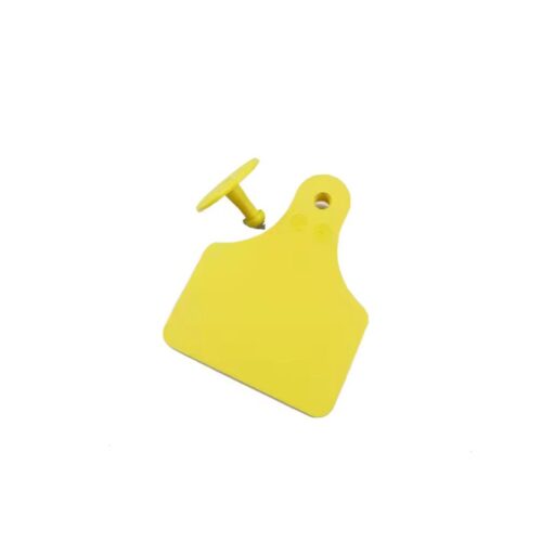 özel kulak küpeleri sığır