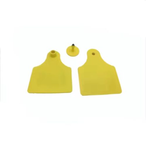 kulak küpeleri sığır