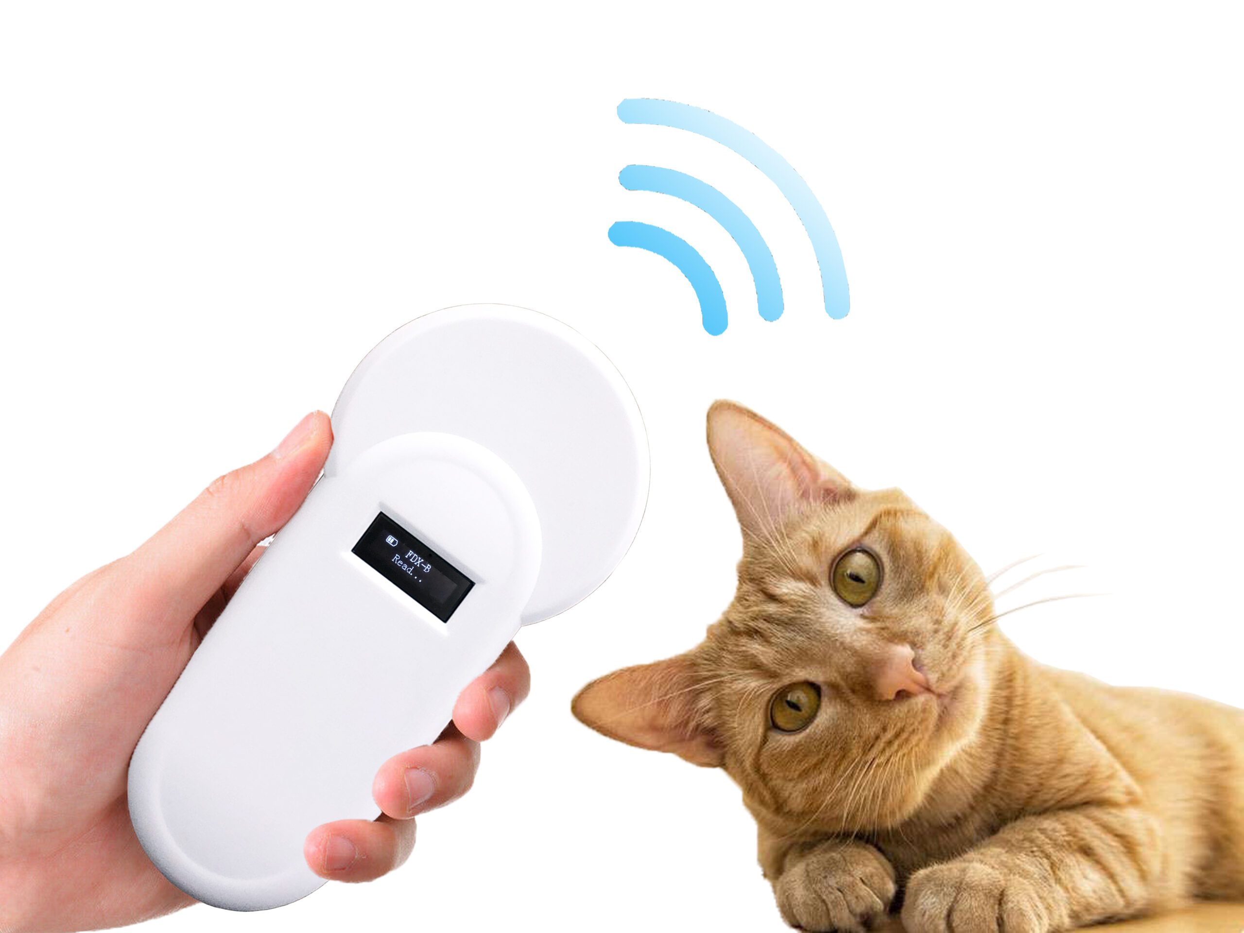 μικροεπεξεργασία σκανδάλης