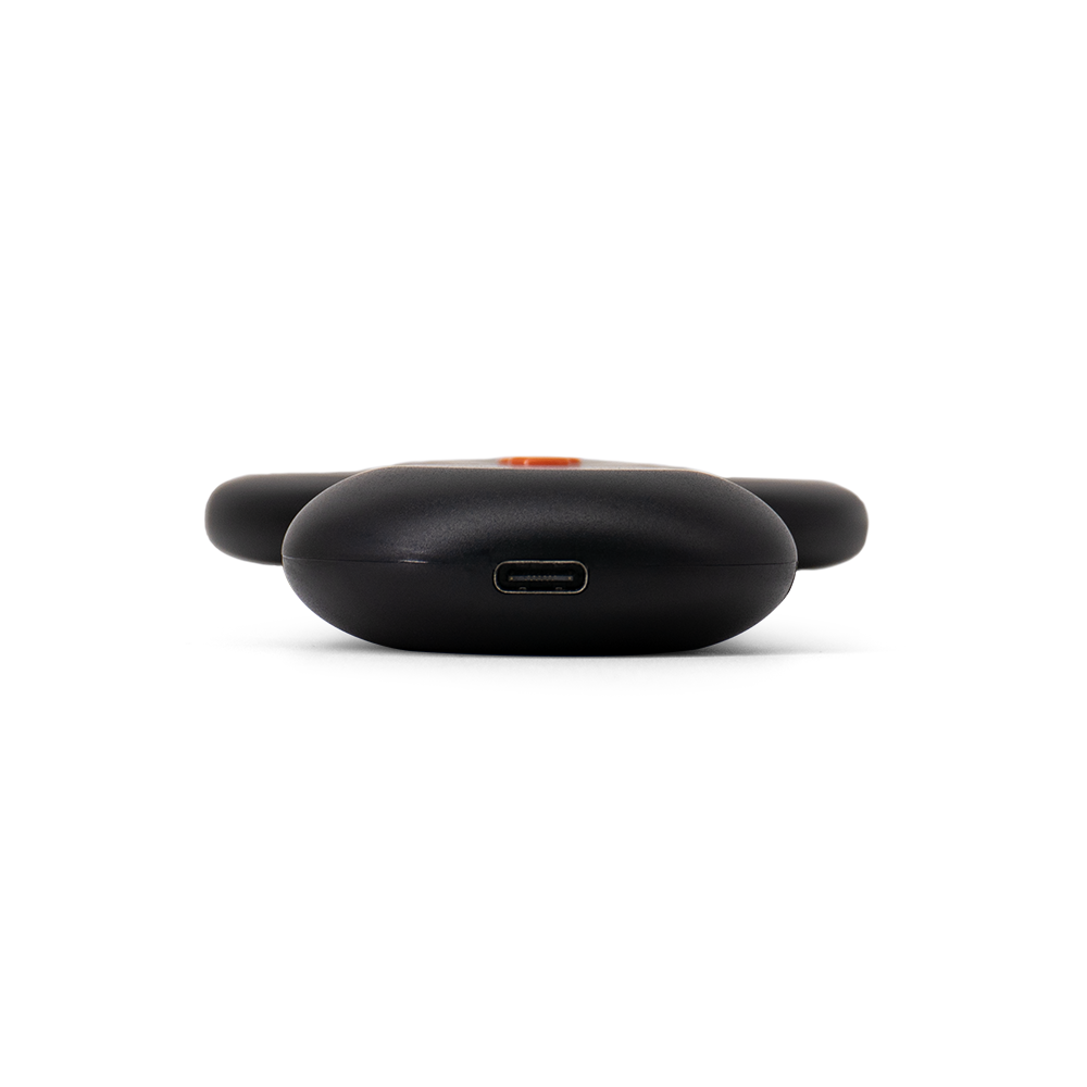 Cat Chip Scanner